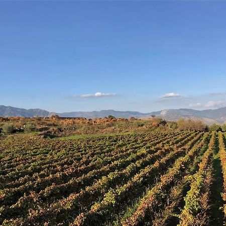 Animosa Suites Castiglione di Sicilia Kültér fotó
